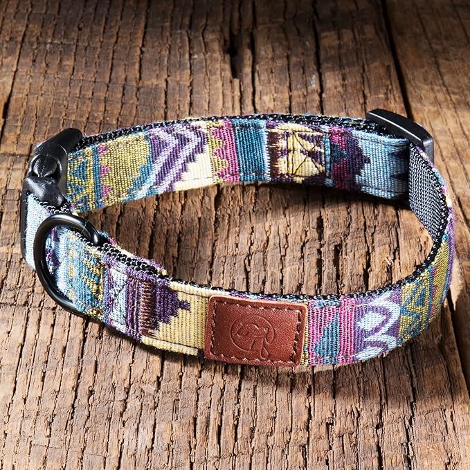 Embark Urban Dog Collar – Dog Collar Stylish & Durable Nylon Dog Collar for Large Dogs, Small Dogs & Medium Dogs.Comfortable Pet Collar Strong Buckles for Any Size Breed (Azure, Medium)