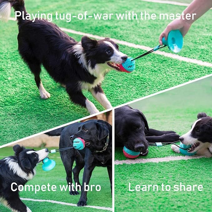 Interactive Dog Toys Tug of War, Mentally Stimulating Toys for Dogs, Puppy Teething Toys for Boredom to Keep Them Busy, Dog Puzzle Treat Food Dispensing Ball Toy for Small Medium Dogs