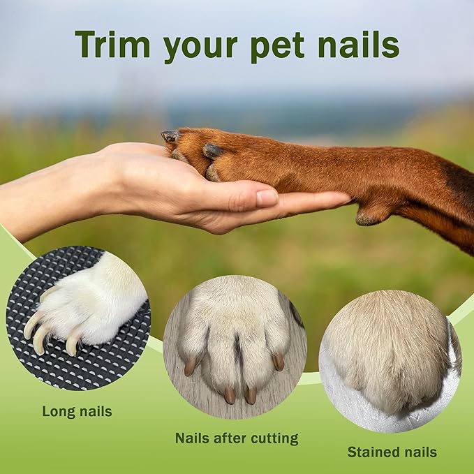 2-in-1 Dog Nail Grinder & Dog Nail Clippers Trimmers for Large Medium Small Dogs Cats Pets Claw Trimmer with LED Lights (Pink)