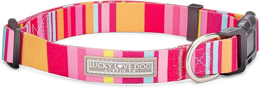 Lucky Love Dog, Colorful Stripes Dog Collar, Yellow, Pink, Blue Color Dog Collar, Cute Dog Collar for Girl Dogs - (Extra Small, Molly Collar)