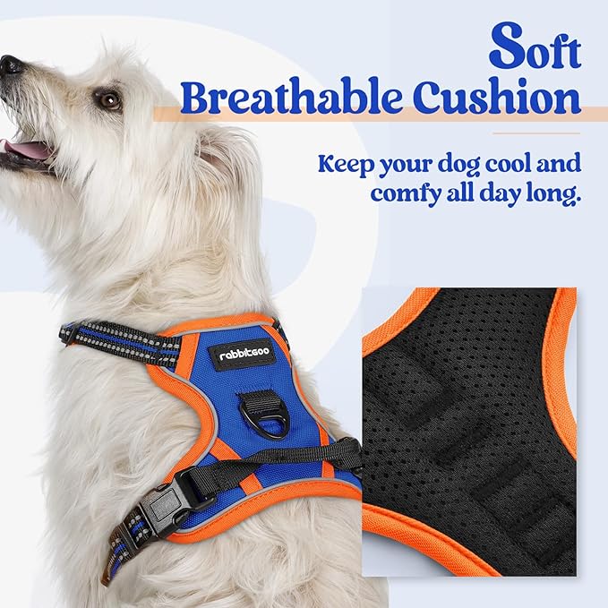 rabbitgoo Dog Harness, No-Pull Pet Harness with 2 Leash Clips, Adjustable Soft Padded Dog Vest, Reflective No-Choke Pet Oxford Vest with Easy Control Handle for Large Dogs, Blue & Orange, XS