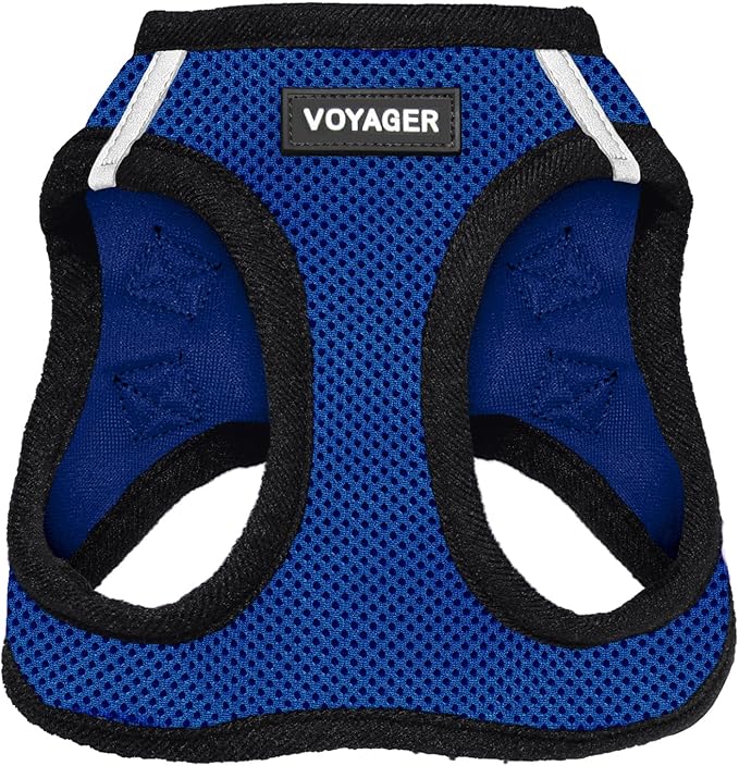 Voyager Step-in Air Dog Harness - All Weather Mesh, Reflective, No Pull Harness for Small, Medium Dogs, Cats - Secure with Hook & Loop Fastener, Buckle, Double D-Rings - Royal Blue/Black Trim, XS