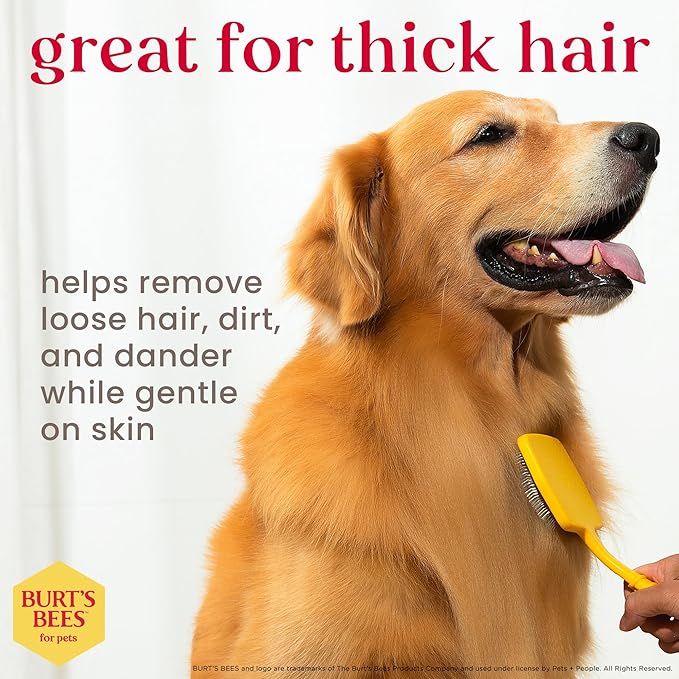 Burt’s Bees for Pets Large Slicker Brush for Dogs with Thick or Curly Hair with Handle Made from Recycled Plastics Collected from Coastal Communities | De-Shedding Dog Brush Removes Knots and Matting