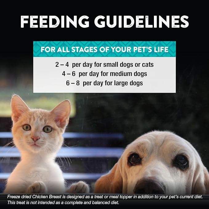 Northwest Naturals Raw Rewards Freeze-Dried Chicken Breast Treats for Dogs and Cats - Bite-Sized Pieces - Healthy, 1 Ingredient, Human Grade Pet Food, Natural - 10 Oz (Pack of 2)