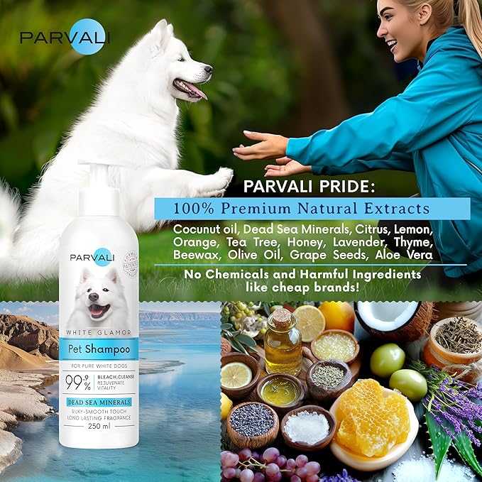Natural Dead Sea White Glamor Pet Shampoo (250 ml, 8.45 fl oz). Gentle Bleaching for White Fur Breeds. Silky-Touch, Minerals Rich, Extra-Scented Formula for Gentle and Easy Application. Enjoy!