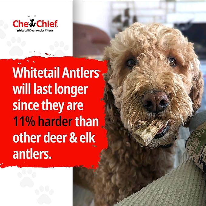CHEW CHIEF Deer Antler Dogs Medium Breeds - Premium Quality Dog Antlers for Aggressive Chewers - Naturally Shed Dog Chew Antlers - Dog Antler Chews (6 Pack)