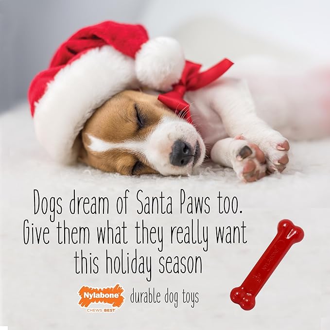 Nylabone Teething Puppy Chew Starter Kit, Two Puppy Chew Toys and Puppy Chew Treat, Puppy Supplies, Bacon & Chicken Flavor, Small/Regular (3 Count)