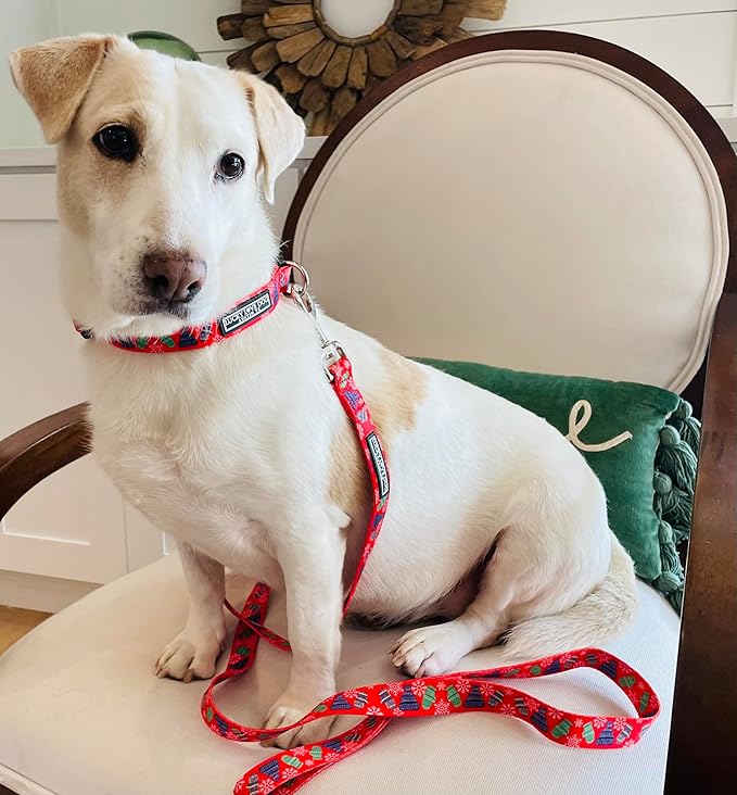 Lucky Love Dog, Winter Stocking Caps and Mittens Dog Collar and Leash Set, Matching Snowflakes Collar and Leash for Male and Female Dogs - (Extra Small, Chilly Combo)