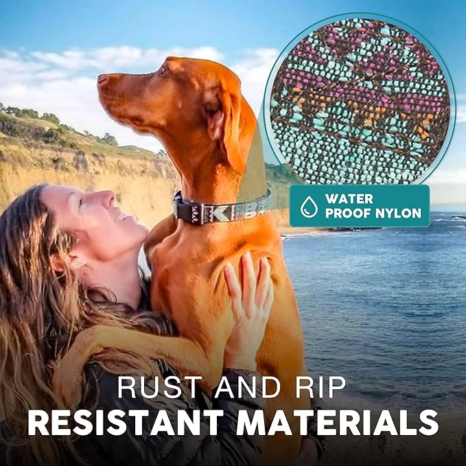 Embark Urban Dog Collar – Dog Collar Stylish & Durable Nylon Dog Collar for Large Dogs, Small Dogs & Medium Dogs.Comfortable Pet Collar Strong Buckles for Any Size Breed (Aztec, Small)