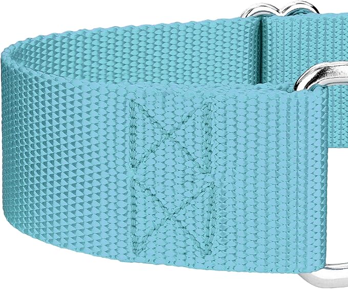 Country Brook Petz 1 1/2 Inch Martingale Heavy Duty Nylon Adjustable Dog Collar for Small, Medium, Large Breeds - Vibrant 17 Color Selection (Ocean Blue, Extra Large)