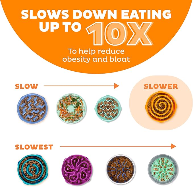 Outward Hound Fun Feeder Slow Bowl in Orange Plastic for Dogs