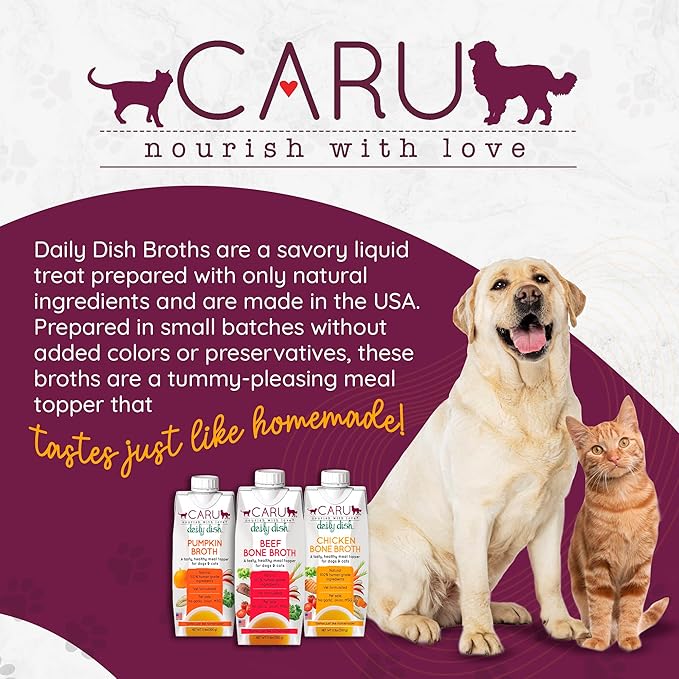 Caru Daily Dish Broth for Dogs & Cats - Pumpkin - Pack of 12