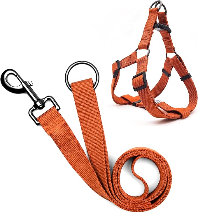 Dog Harness and Leash Set for Large Dogs Rayon Derived from Bamboo 90%, Polyester 10%, No Pull Dog Harness, Step-in Adjustable Dog Leash, Easy to Wear for Large Dogs-Orange