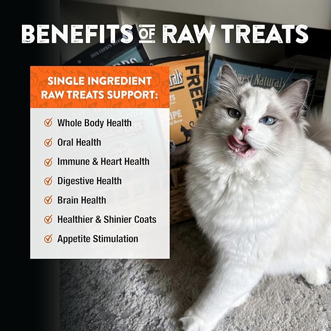 Northwest Naturals Raw Rewards Freeze-Dried Salmon Treats for Dogs and Cats - Bite-Sized Pieces - Healthy, 1 Ingredient, Human Grade Pet Food, All Natural - 2.5 Oz (Pack of 3)