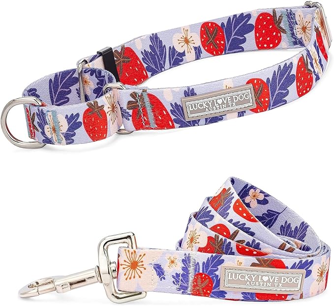Lucky Love Dog Martingale Collar and Leash Set, Premium Fun Girl No Slip Collars, Strawberry Martingale Dog Collar and Leash Set, Great for Whippets, Greyhounds, and More (Sweet Berry, Medium - Combo)