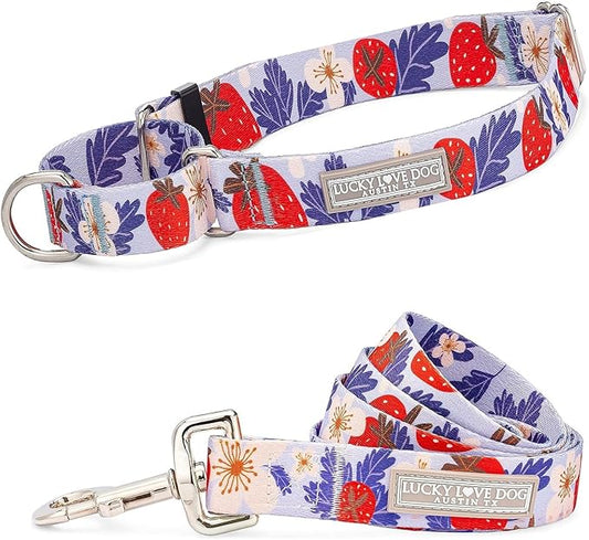 Lucky Love Dog Martingale Collar and Leash Set, Premium Fun Girl No Slip Collars, Strawberry Martingale Dog Collar and Leash Set, Great for Whippets, Greyhounds, and More (Sweet Berry, Medium - Combo)