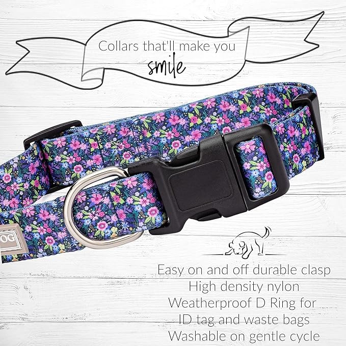 Lucky Love Dog, Comfortable, Soft, Cute Female Dog Collar for Medium Dogs, Black & Purple Floral Print, Adjustable Nylon Collar, Primrose, Medium