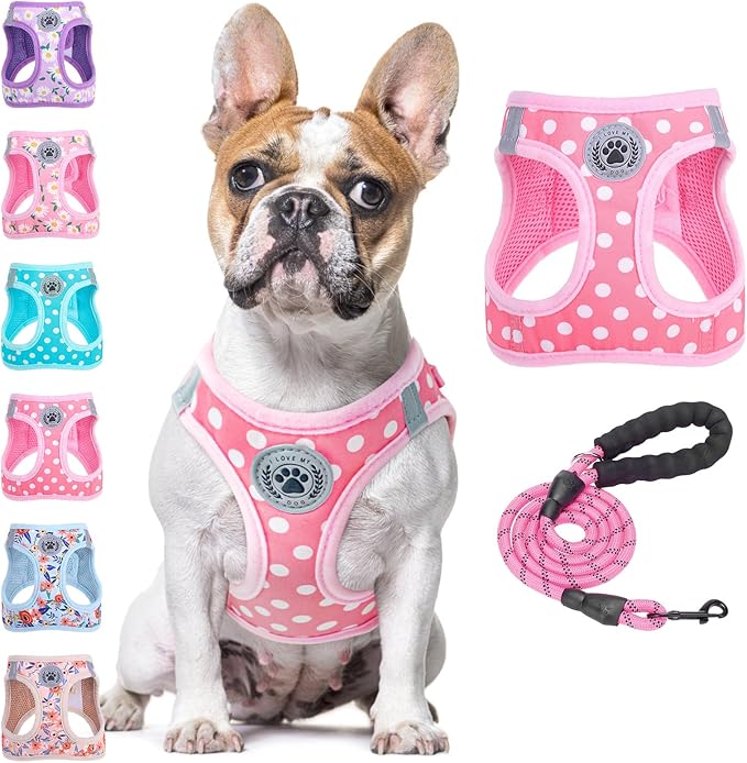 BEAUTYZOO Step in Dog Harness and Leash Set, Polka Dot Pattern Reflective Dog Harness No Pull No Choke Puppy Harness for XXS XS S Dogs Cats, Soft Padded Mesh Vest Harnesses for Girl and Boy Pets