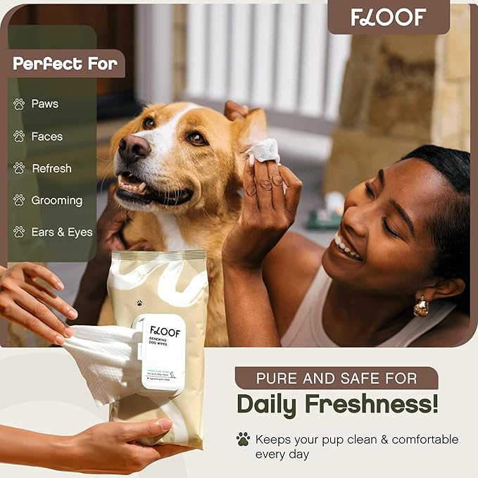 Floof Hypoallergenic Dog Wipes – Natural Aloe Grooming Wipes for Paws Face Ears Eyes & Bum – Vet-Formulated Extra Thick Safe for Puppies & Adult Dogs – 288 Count