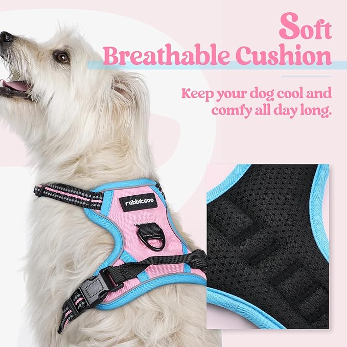 rabbitgoo Dog Harness, No-Pull Pet Harness with 2 Leash Clips, Adjustable Soft Padded Dog Vest, Reflective No-Choke Pet Oxford Vest with Easy Control Handle for Large Dogs, Pink & Blue, X-Small