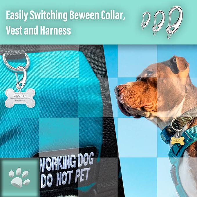 Divoti Leash King Pet Tag Quick Clip/Sping-Load Hook Combo for Pet ID Tags - 2 Medim w/Pack of Split Rings