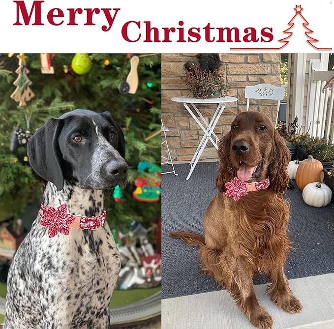 Unique style paws Christmas Dog Collar with Flower Tie Winter Gingerbread Snowman Theme Puppy Collar for Small Medium Large Dogs-L