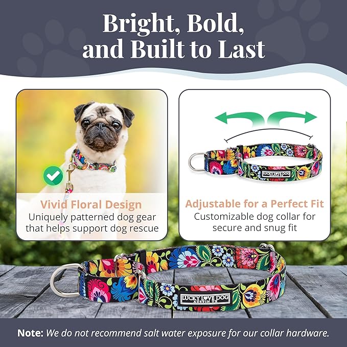 Lucky Love Dog Martingale Dog Collar - Adjustable, No-Slip, Durable, & Soft Webbing Dog Collar for Male and Female Dogs Ideal for Training & Walking - Stylish Blackbird Pattern, Large Size