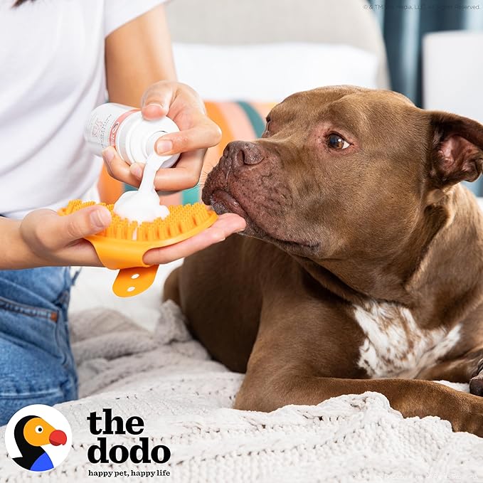 The Dodo No Rinse Bath Foam for Dogs, Tropical Mango with Papaya and Coconut Oil, 8 fl oz; Waterless Dog Grooming Option; Vegan, Cruelty-Free, No DEA, MEA, SLS or Parabens