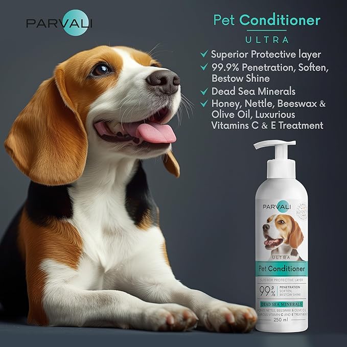 Natural Dead Sea Classic Dog Conditioner (250 ml, 8.45 fl oz). Softens and Penetrates Hair, All Breeds Anti-Dryness Protection. Fortified with Honey, Nettle, Beeswax, and Olive Oil. Enjoy!