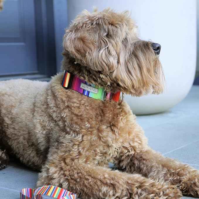 Lucky Love Dog Wide Dog Collar - Adjustable, Durable, Soft Webbing, & Comfortable 1.5 inch Wide Collar for Dogs Male and Female - in Nacho Pattern with Strong Buckle, Large Size