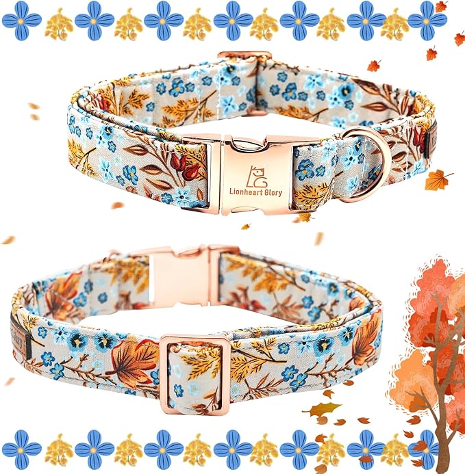 Lionheart glory Premium Dog Collars Fall Dog Collar, Heavy Duty Adjustable Dog Collar for Medium Dogs Maple Leaf Dog Collar