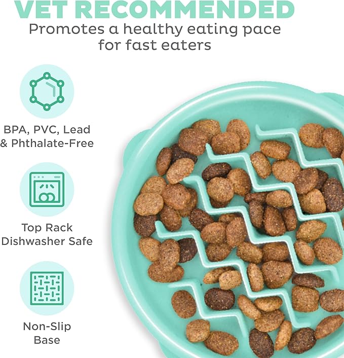 Outward Hound Fun Feeder Slo Bowl Slow Pet Feeder Bowl for Dogs in Mint Plastic