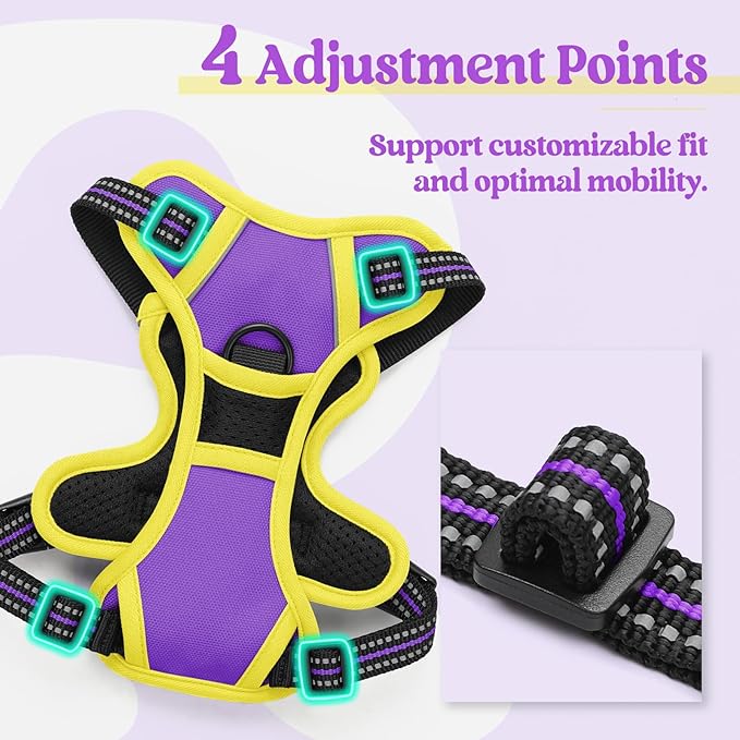 rabbitgoo Dog Harness, No-Pull Pet Harness with 2 Leash Clips, Adjustable Soft Padded Dog Vest, Reflective No-Choke Pet Oxford Vest with Easy Control Handle for Large Dogs, Purple & Yellow, XS