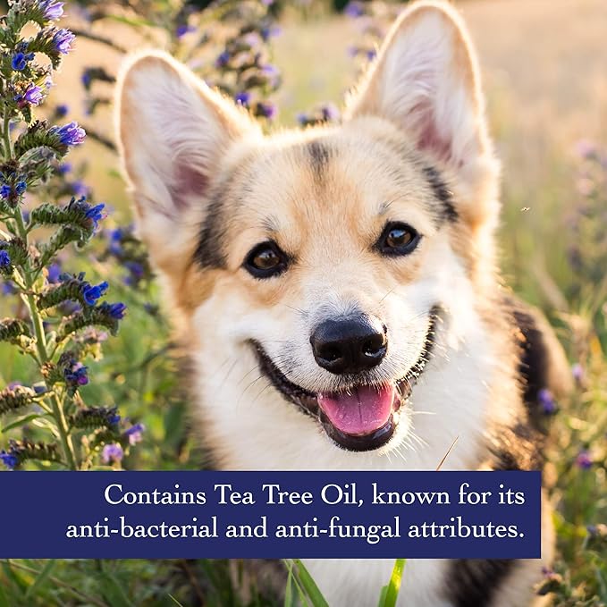 Richard’s Organics Shampoo for Dogs, 12 oz – Formulated with Tea Tree Oil & Neem Oil – 100% Natural Active Ingredients Dog Shampoo to Treat Yeast and Other Skin Infections in Dogs
