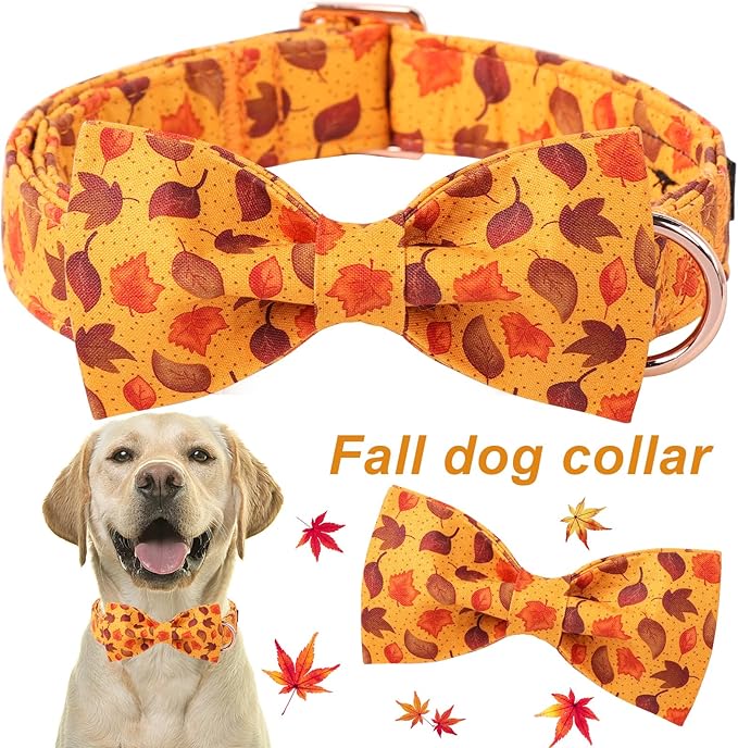ARING PET Fall Dog Collar-Cotton Maple Leaves Dog Collar with Bow, Adjustable Autumn Bowtie Dog Collars Pet Necklace with Metal Buckle for Girl&Boy Dogs