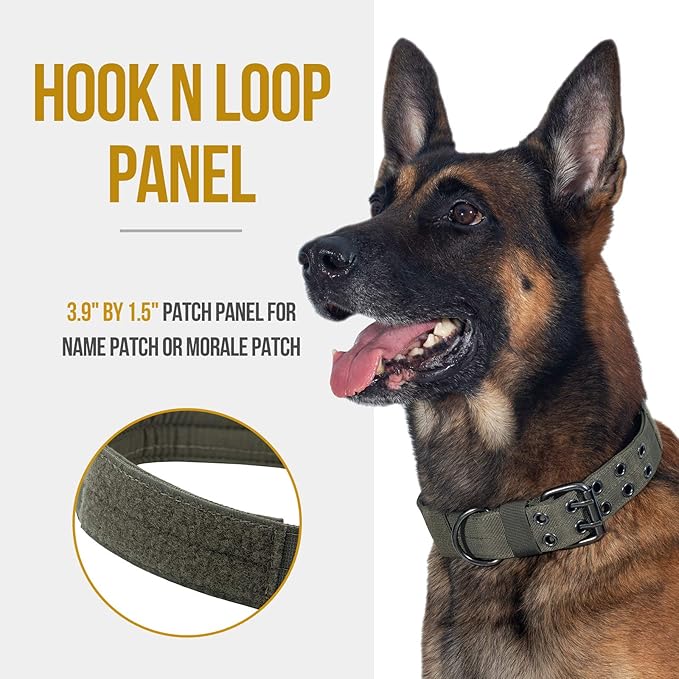 OneTigris Military Adjustable Dog Collar with Metal D Ring & Buckle 2 Sizes (Ranger Green, L)