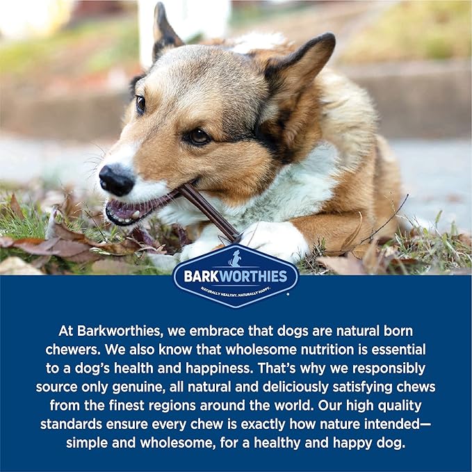 Barkworthies Odor-Free 6-inch Bully Sticks (5 Pack) - Healthy Dog Chews - Protein-Packed, Easily digestible, All-Natural Rawhide Alternative Dog Treats - Promotes Dental Health