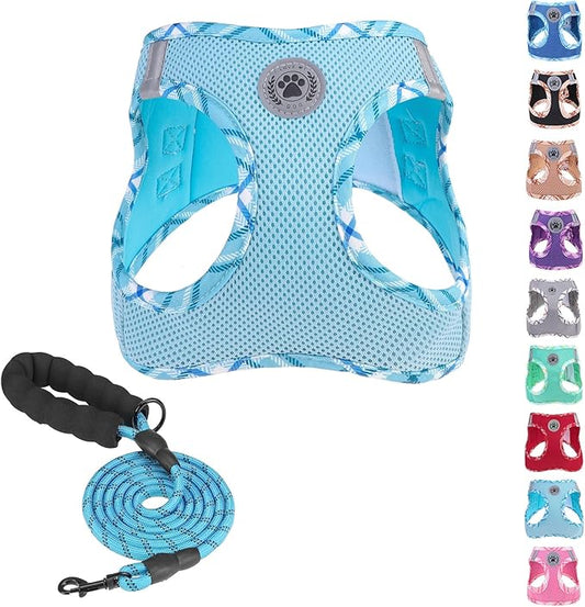 BEAUTYZOO Dog Harness and Leash Set for Small Medium Dogs,No Pull Step-in Harness for Puppy S M Sized Dogs and Cats,Air Mesh Adjustable Breathable Soft No Chock Escape Proof Vest Harness,Sky Blue S