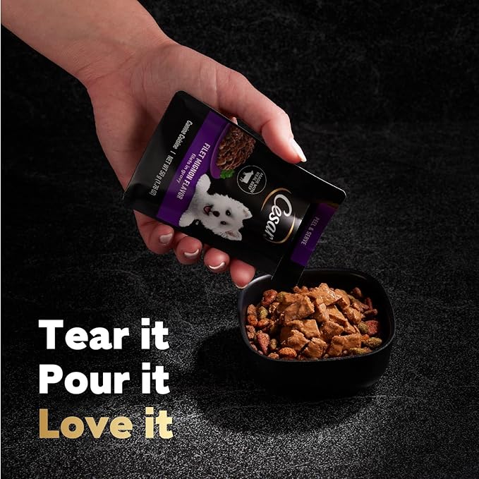 Cesar Filets in Gravy Wet Dog Food Filet Mignon Flavor and Rotisserie Chicken Flavor Variety Pack, 1.76 oz. Mini-Pouches, 20 Pack (Pack of 2)