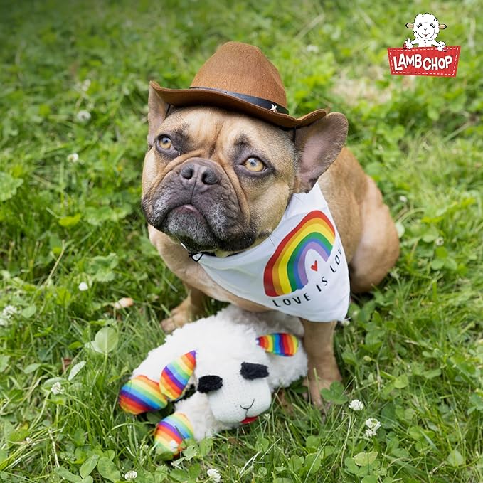 Multipet Mini Lamb Chop Officially Licensed, Plush, Squeak Pet Toy (White, 10')