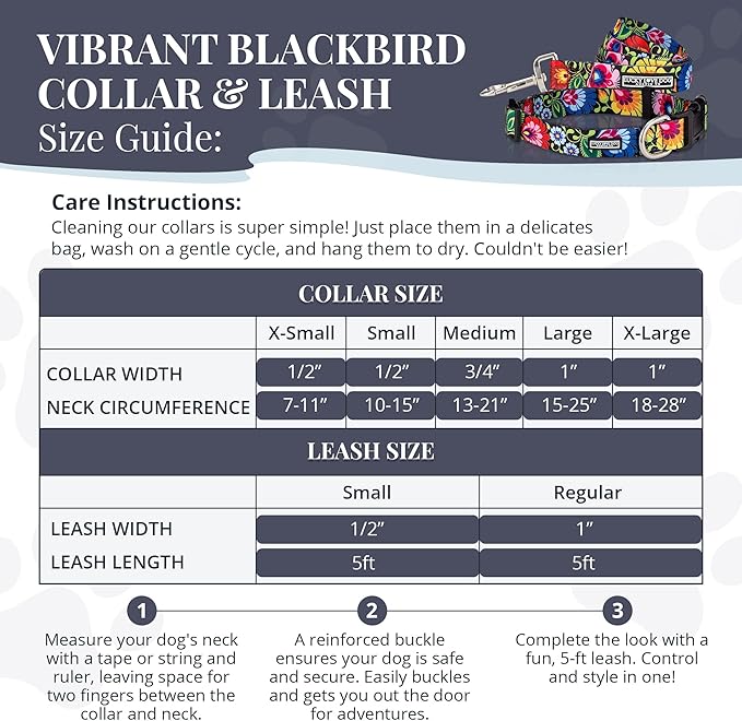Lucky Love Dog - Easy Click Buckle Dog Collar with Leash Set Combo, Durable & Comfortable Collar for Male & Female Dogs, Pet Collar for Small to Large Dogs, Secure Fit - Blackbird Combo, X-Small