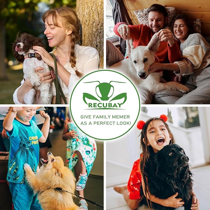 Dog Cat Scissors for Grooming, Pet Shears for Thick Coats and Matted Hair, Thinner Curved Straight Chunker Stainless Steel Shears (7.0" Straight Gold-Silver)