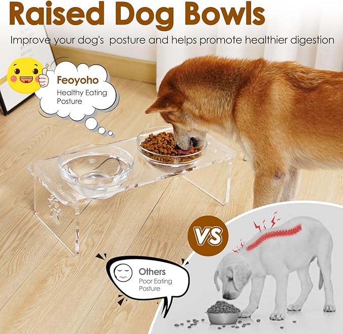 Dog and Cat Bowls Elevated Set - Acrylic Feeder Stand with 2 Set Removable Stainless Steel and Glass Bowls Food and Water Raised Dishes for Medium Dogs,5.5 inches