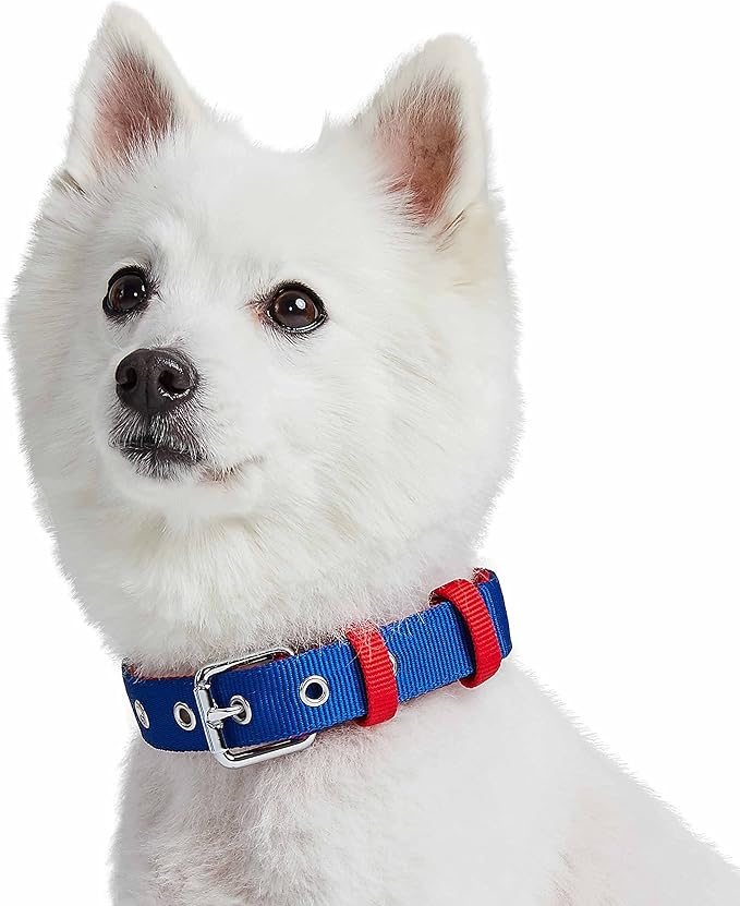 Blueberry Pet Iconic Color-Block Adjustable Dog Collar with Metal Buckle, Navy Blue and Red, Neck 17-20.5", for Large Breed