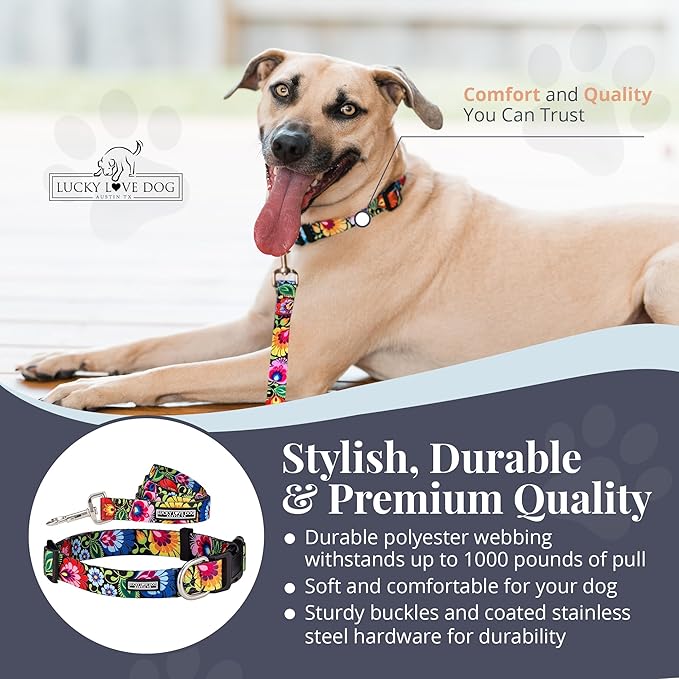 Lucky Love Dog - Easy Click Buckle Dog Collar with Leash Set Combo, Durable & Comfortable Collar for Male & Female Dogs, Pet Collar for Small to Large Dogs, Secure Fit - Blackbird Combo, Medium