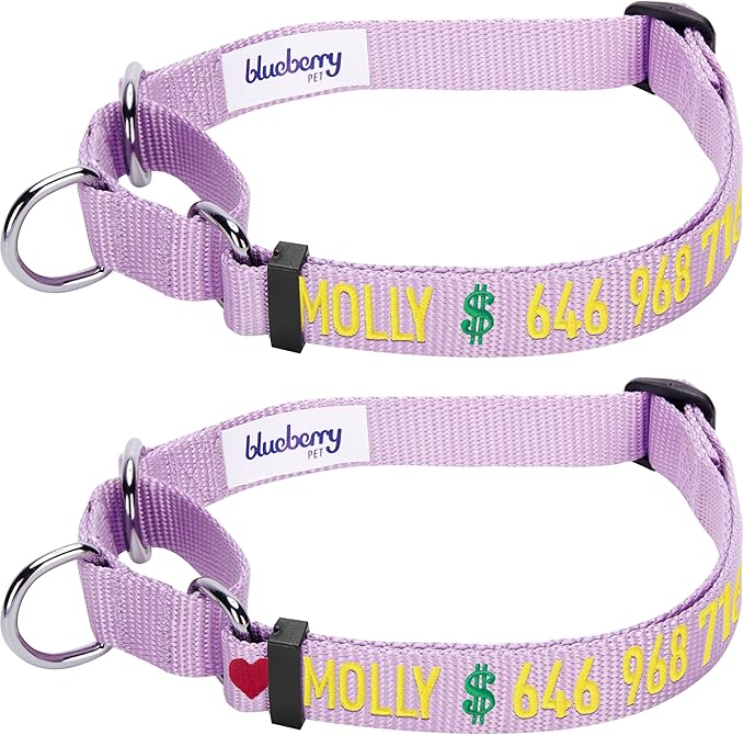 Blueberry Pet Essentials Personalized Martingale Safety Training Dog Collar, Lavender, Large, Adjustable Customized ID Collars for Dogs Embroidered with Pet Name & Phone Number