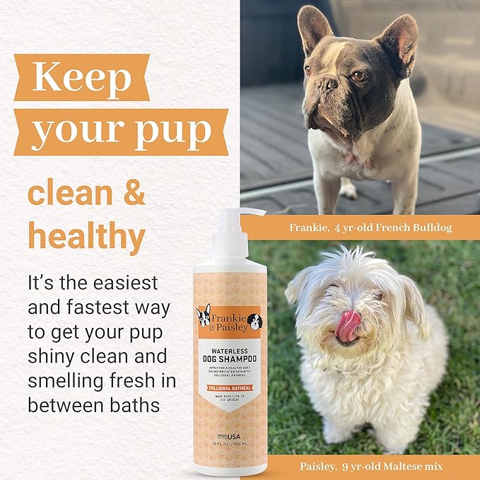 Frankie & Paisley Waterless Dog Shampoo, Natural Dry Shampoo for Dogs or Cats No Rinse Required with Natural Colloidal Oatmeal for a Deodorized Puppy and Quick Grooming - 16 fl. Oz