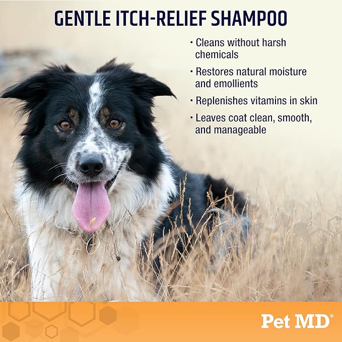 Pet MD Oatmeal & Aloe Shampoo for Dogs and Cats - Nourishing Anti Itch for Sensitive Dry Skin & Flaking - Professional Grooming & Moisturizing Dog Shampoo Gallon