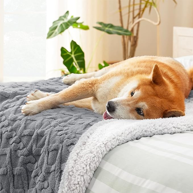 Bedsure Waterproof Dog Blankets for Large Dogs - Pet Blanket for Couch Protector Washable, Premium Jacquard Coral Fleece Cat Throw Blanket, Soft Plush Reversible Furniture Protection, 40"x50", Grey