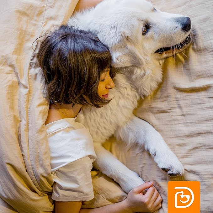 3-in-1 Paw Balm & Deodorizer Spray - Between Baths Bundle for Pets | Moisturizing Balm for Cracked Skin (2oz) & Long-Lasting Cherry Blossom Odor Eliminator (8oz) for Dogs & Cats